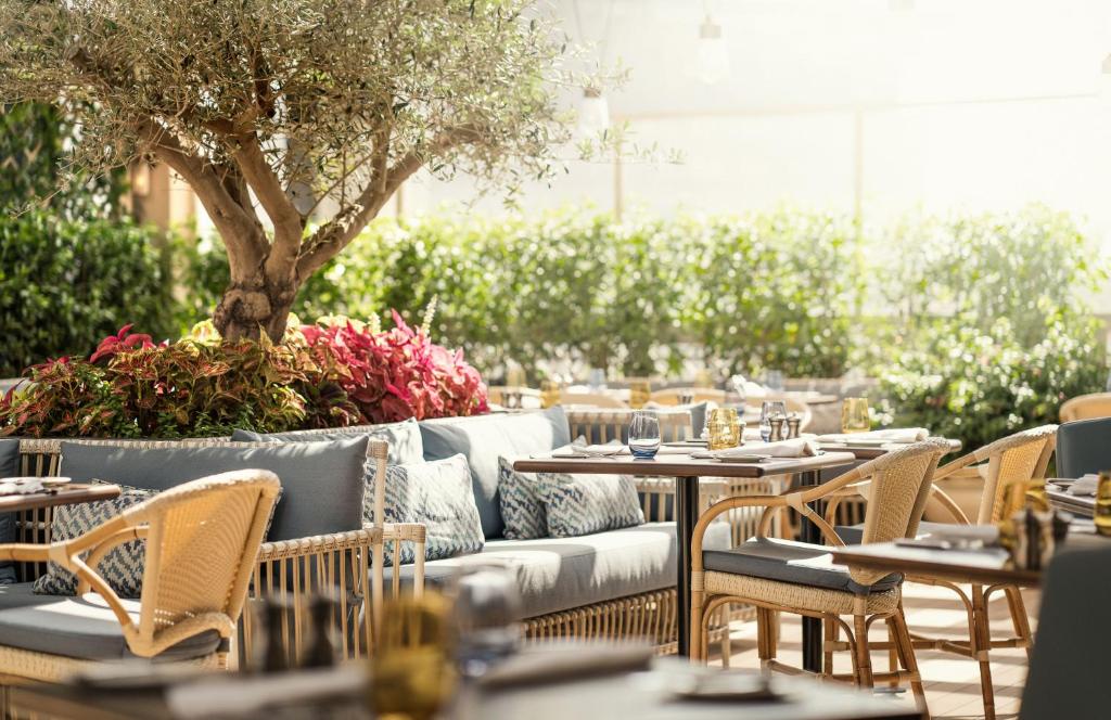 أحد فندق مقابل متحف المستقبل دبي المميزَّة أحد فندق مقابل متحف المستقبل دبي المميزَّة